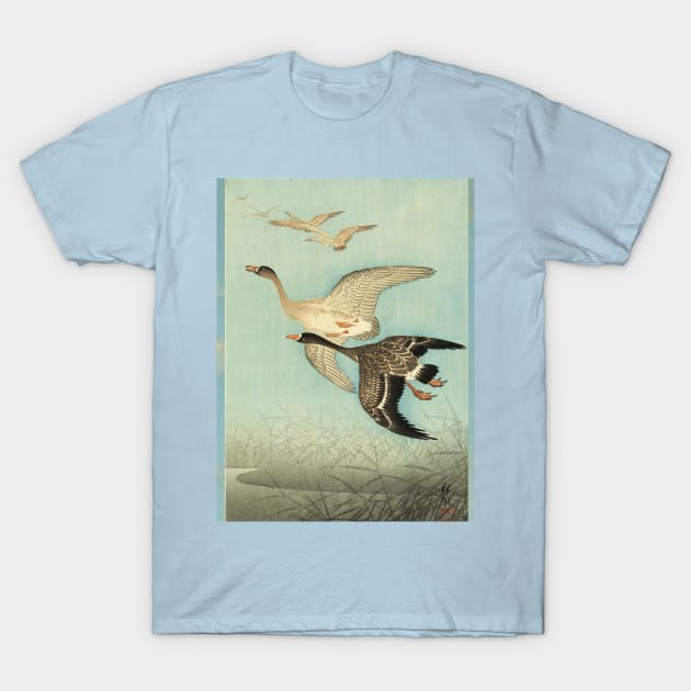 White fronted Geese in Flight Antique Japanese Paintings T-Shirt by BulganLumini